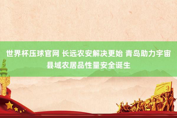 世界杯压球官网 长远农安解决更始 青岛助力宇宙县域农居品性量安全诞生