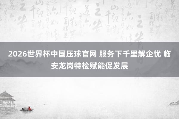 2026世界杯中国压球官网 服务下千里解企忧 临安龙岗特检赋能促发展