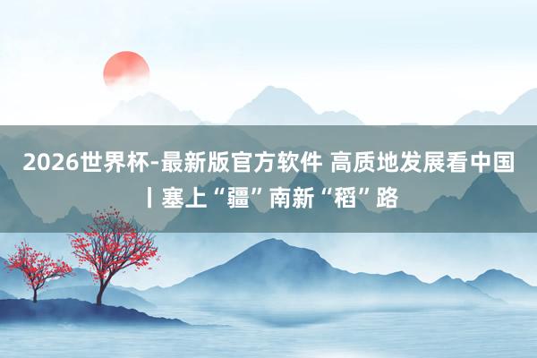 2026世界杯-最新版官方软件 高质地发展看中国丨塞上“疆”南新“稻”路