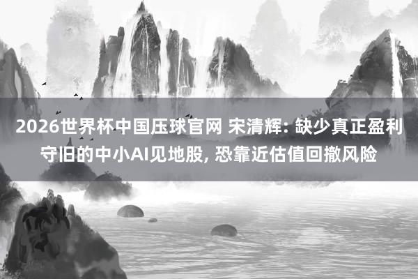 2026世界杯中国压球官网 宋清辉: 缺少真正盈利守旧的中小AI见地股, 恐靠近估值回撤风险