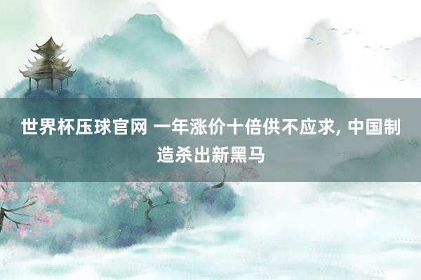 世界杯压球官网 一年涨价十倍供不应求, 中国制造杀出新黑马