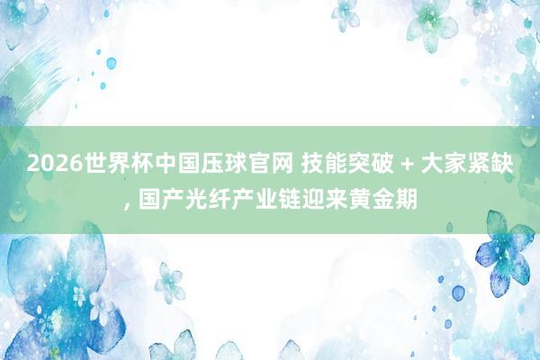2026世界杯中国压球官网 技能突破 + 大家紧缺, 国产光纤产业链迎来黄金期