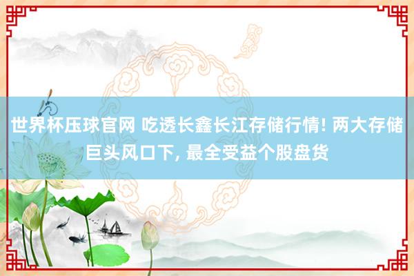 世界杯压球官网 吃透长鑫长江存储行情! 两大存储巨头风口下, 最全受益个股盘货