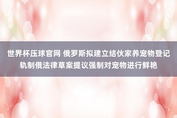 世界杯压球官网 俄罗斯拟建立结伙家养宠物登记轨制俄法律草案提议强制对宠物进行鲜艳