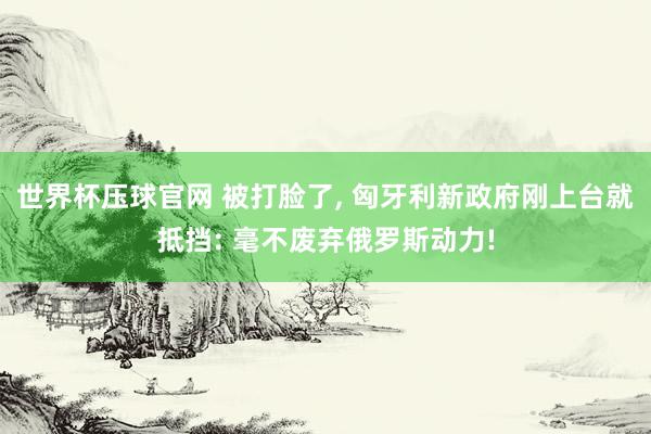 世界杯压球官网 被打脸了， 匈牙利新政府刚上台就抵挡: 毫不废弃俄罗斯动力!