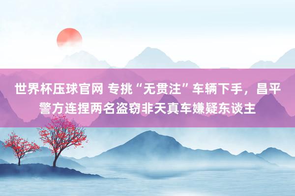 世界杯压球官网 专挑“无贯注”车辆下手，昌平警方连捏两名盗窃非天真车嫌疑东谈主