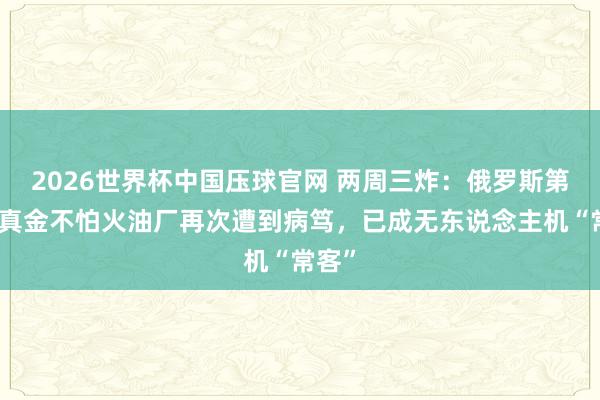 2026世界杯中国压球官网 两周三炸:俄罗斯第四大真金不怕火油厂再次遭到病笃,已成无东说念主机“常客”