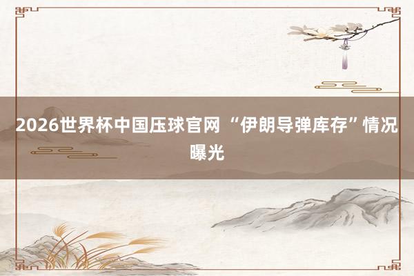 2026世界杯中国压球官网 “伊朗导弹库存”情况曝光