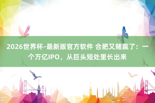 2026世界杯-最新版官方软件 合肥又赌赢了:一个万亿IPO,从巨头短处里长出来