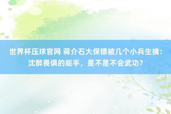 世界杯压球官网 蒋介石大保镖被几个小兵生擒:沈醉畏俱的能手,是不是不会武功?