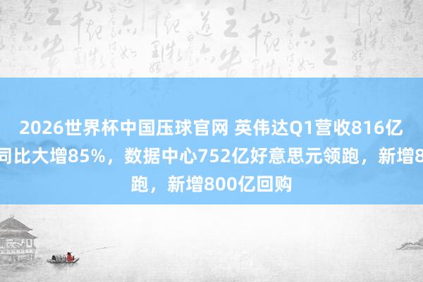 2026世界杯中国压球官网 英伟达Q1营收816亿好意思元同比大增85%,数据中心752亿好意思元领跑,新增800亿回购