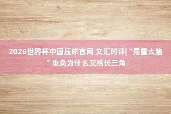 2026世界杯中国压球官网 文汇时评|“最重大脑”重负为什么交给长三角