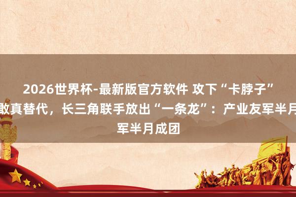 2026世界杯-最新版官方软件 攻下“卡脖子”却不敢真替代,长三角联手放出“一条龙”:产业友军半月成团