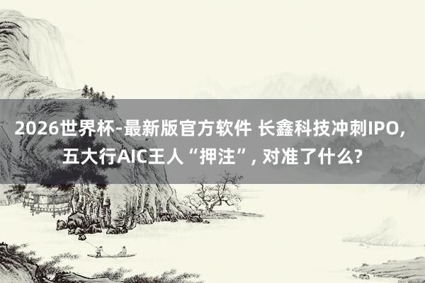 2026世界杯-最新版官方软件 长鑫科技冲刺IPO, 五大行AIC王人“押注”, 对准了什么?