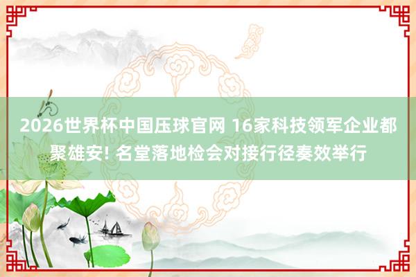 2026世界杯中国压球官网 16家科技领军企业都聚雄安! 名堂落地检会对接行径奏效举行