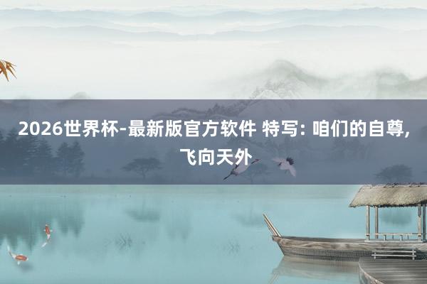 2026世界杯-最新版官方软件 特写: 咱们的自尊， 飞向天外