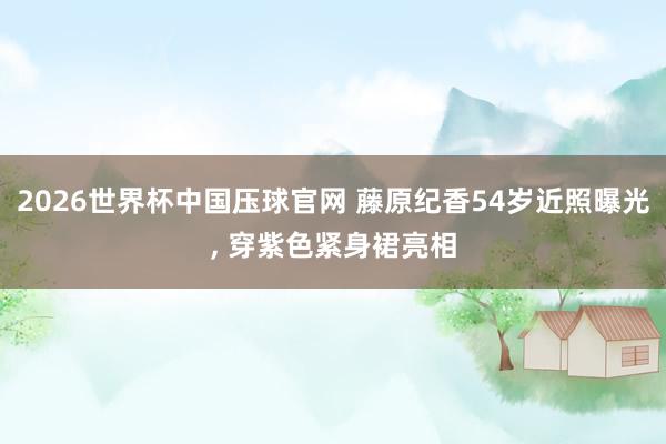 2026世界杯中国压球官网 藤原纪香54岁近照曝光, 穿紫色紧身裙亮相