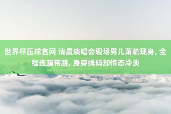 世界杯压球官网 清晨演唱会现场男儿萧疏现身, 全程连蹦带跳, 身旁姆妈却情态冷淡