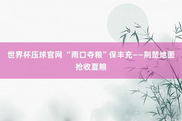 世界杯压球官网 “雨口夺粮”保丰充——荆楚地面抢收夏粮