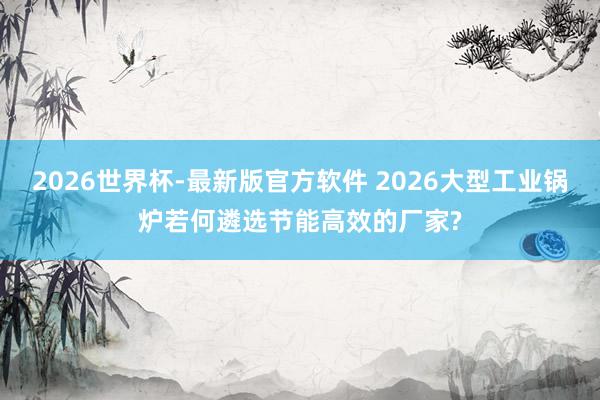 2026世界杯-最新版官方软件 2026大型工业锅炉若何遴选节能高效的厂家?