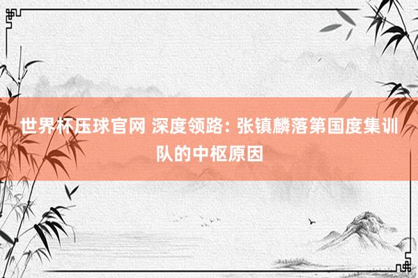 世界杯压球官网 深度领路: 张镇麟落第国度集训队的中枢原因