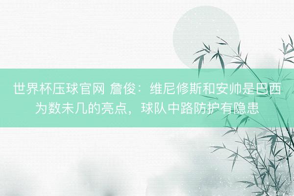 世界杯压球官网 詹俊:维尼修斯和安帅是巴西为数未几的亮点,球队中路防护有隐患