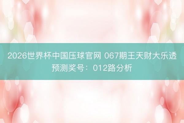 2026世界杯中国压球官网 067期王天财大乐透预测奖号:012路分析