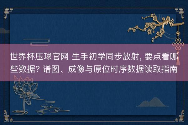 世界杯压球官网 生手初学同步放射, 要点看哪些数据? 谱图、成像与原位时序数据读取指南
